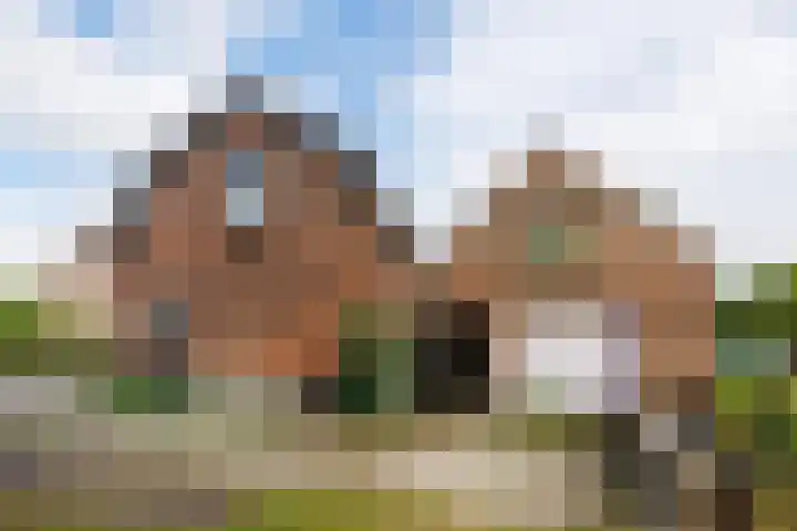 Oude Maasdijk 7 Dreumel thumbnail 35
