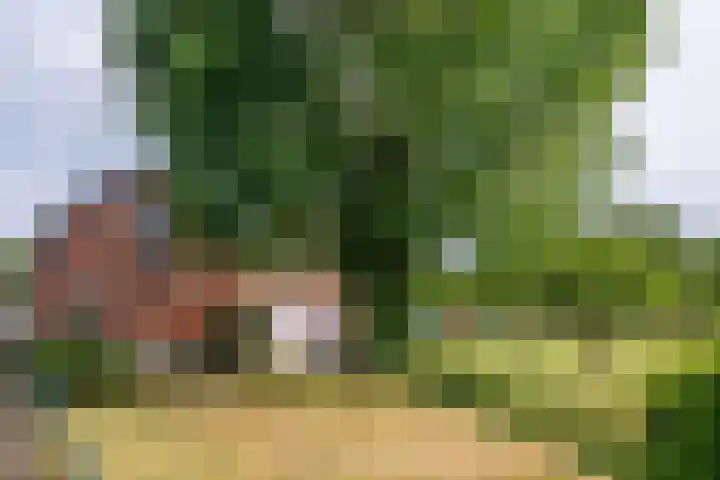 Oude Maasdijk 7 Dreumel thumbnail 36