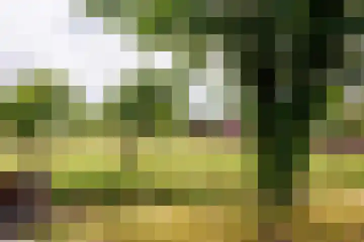 Oude Maasdijk 7 Dreumel thumbnail 39