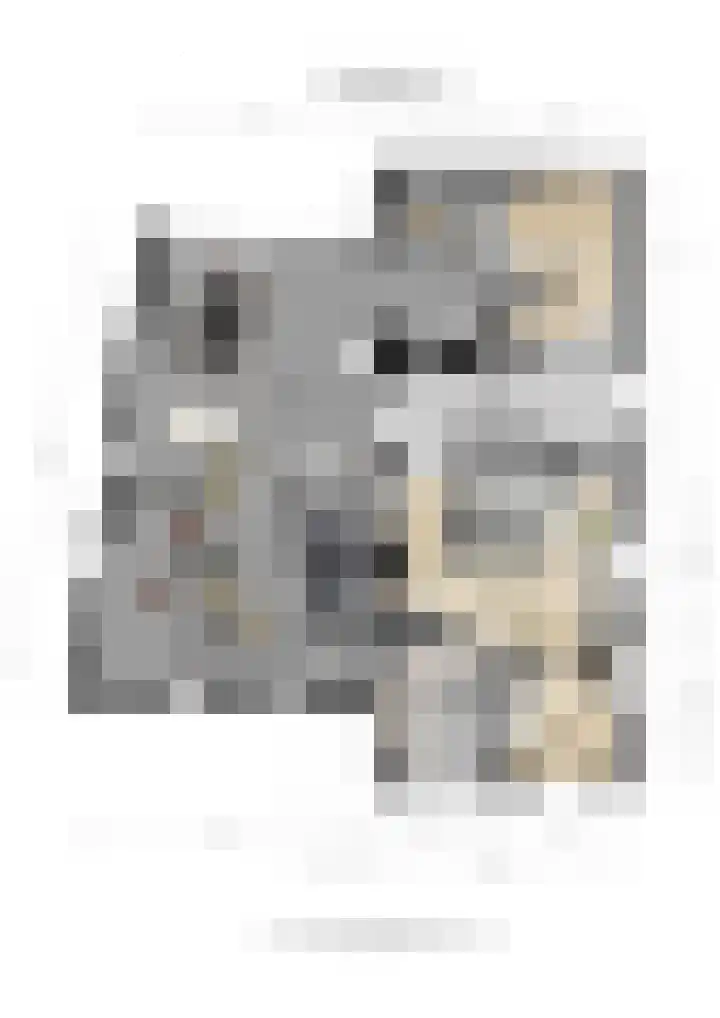 Oude Maasdijk 7 Dreumel thumbnail 42