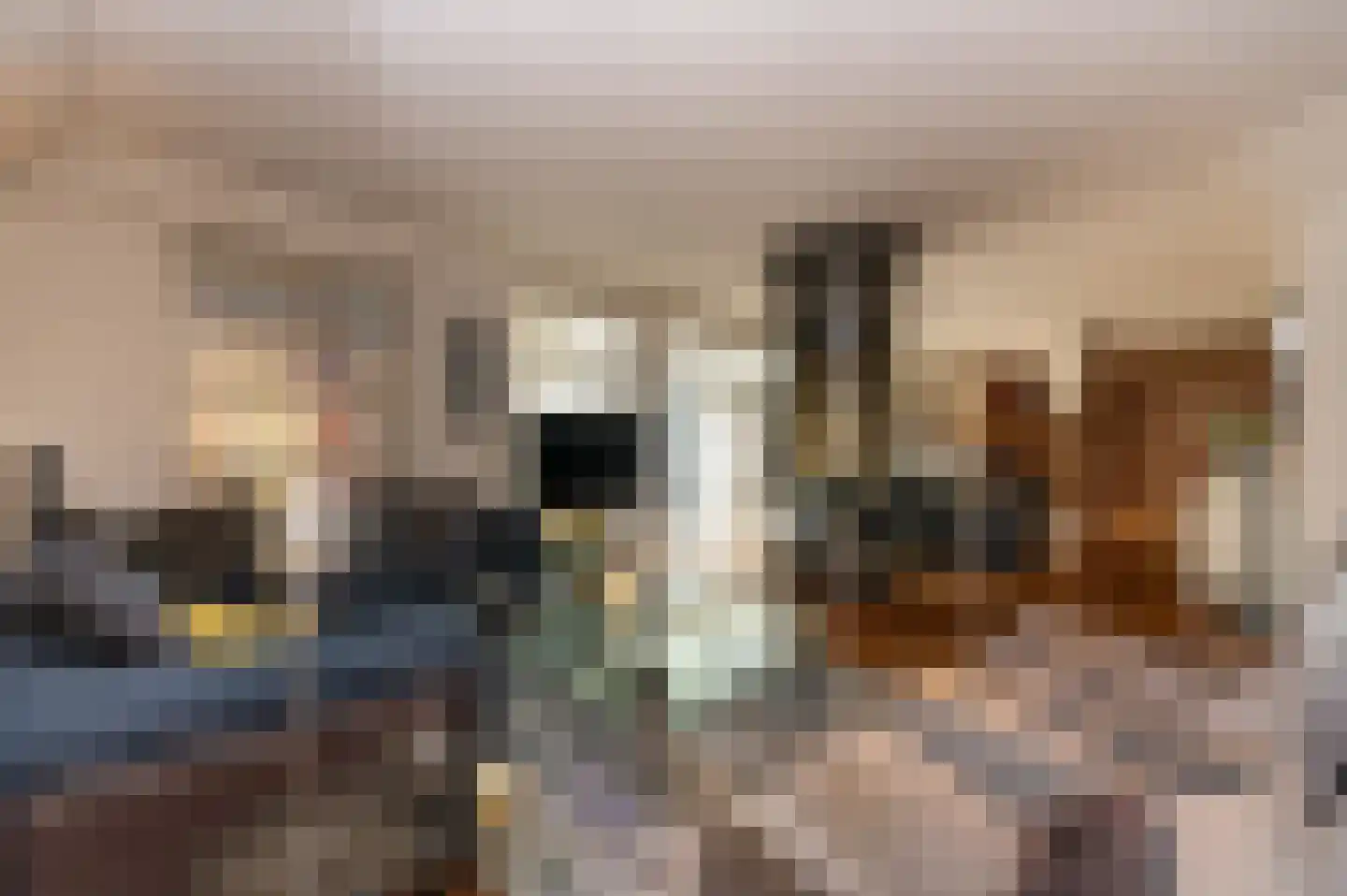Oude Maasstraat 36 Uden thumbnail 13