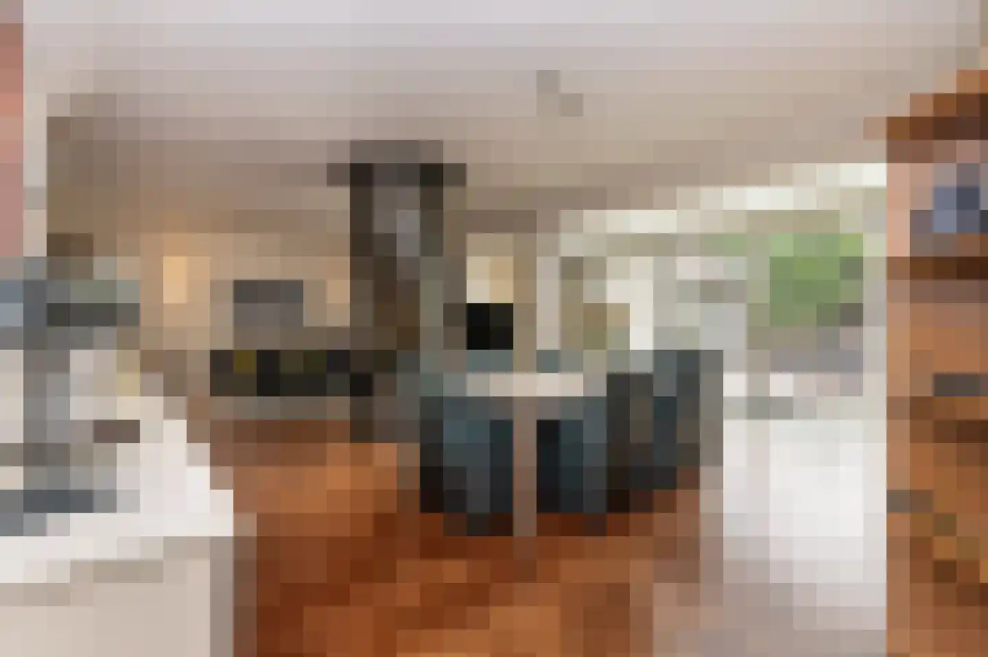 Oude Maasstraat 36 Uden thumbnail 17