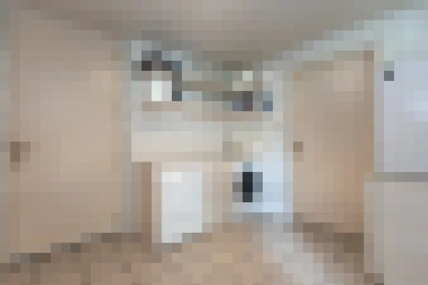 Oude Maasstraat 36 Uden thumbnail 25
