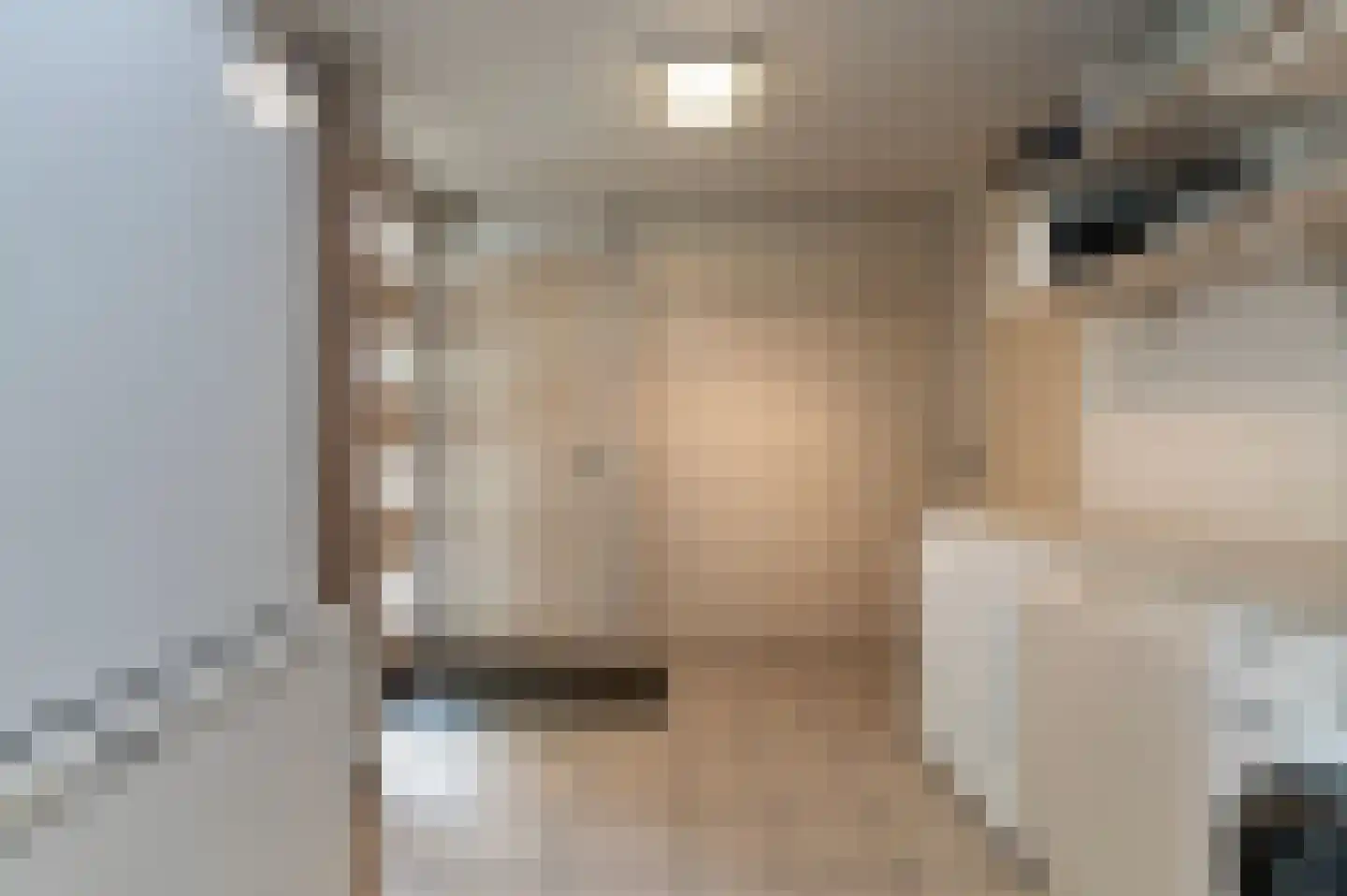 Oude Maasstraat 36 Uden thumbnail 26