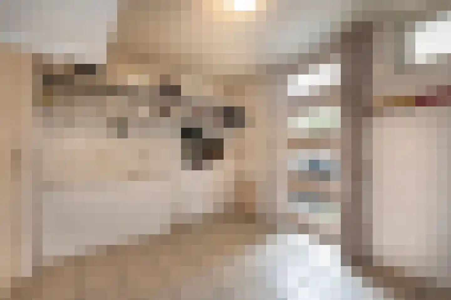 Oude Maasstraat 36 Uden thumbnail 27