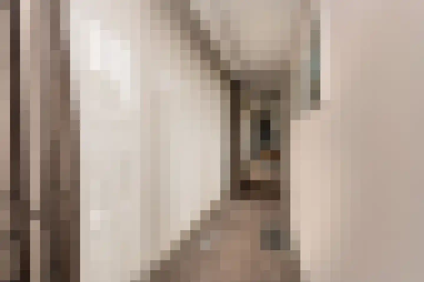 Oude Maasstraat 36 Uden thumbnail 28