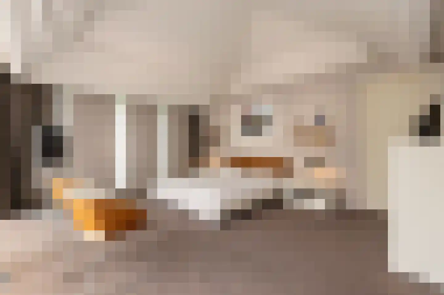 Oude Maasstraat 36 Uden thumbnail 29