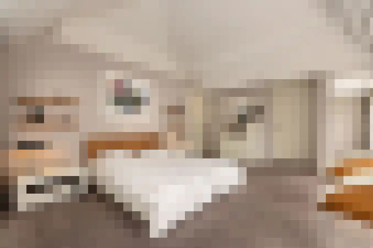 Oude Maasstraat 36 Uden thumbnail 31