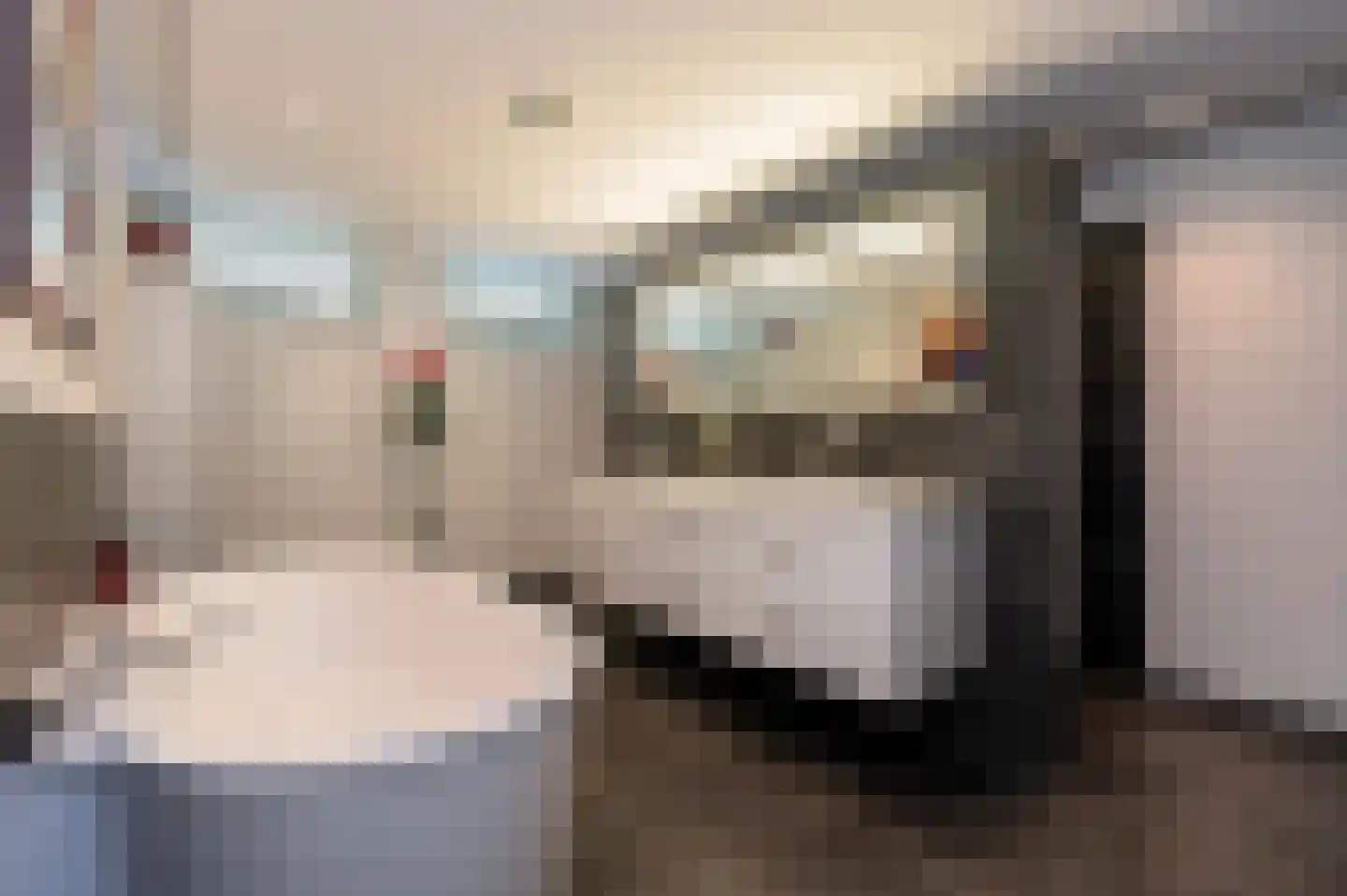 Oude Maasstraat 36 Uden thumbnail 32