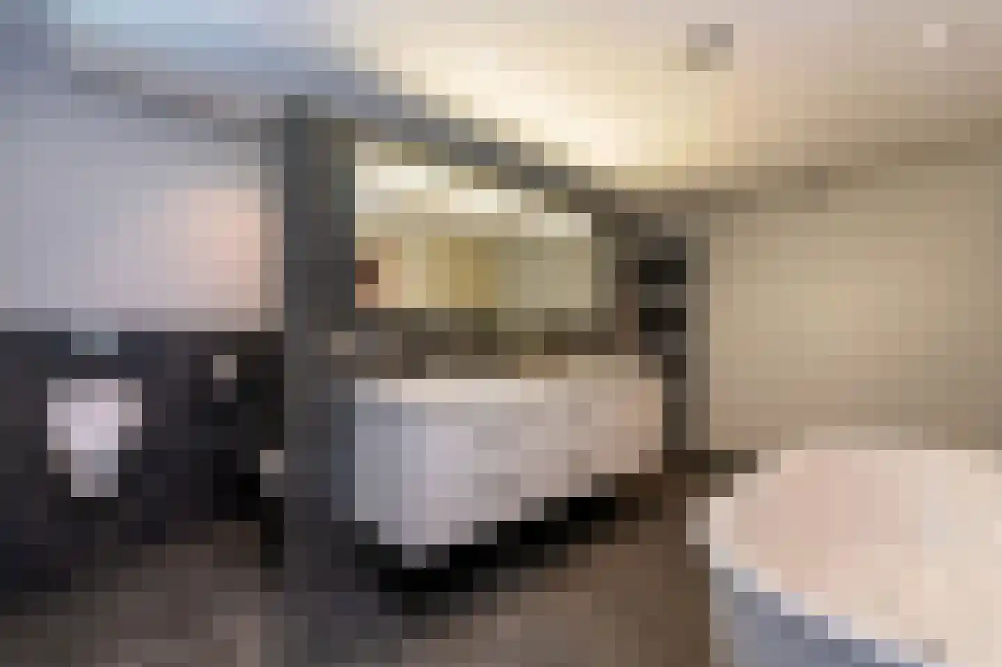 Oude Maasstraat 36 Uden thumbnail 33