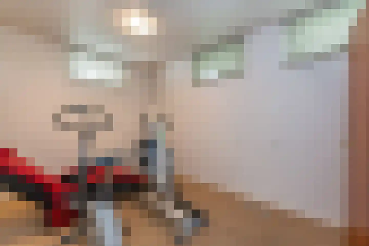 Oude Maasstraat 36 Uden thumbnail 43
