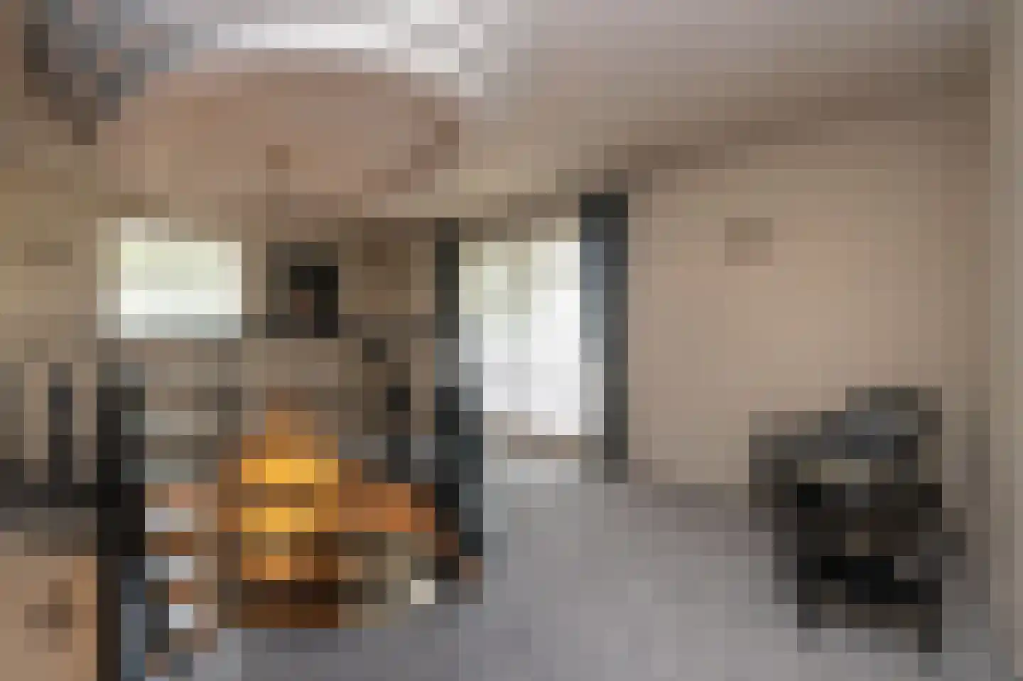 Oude Maasstraat 36 Uden thumbnail 44
