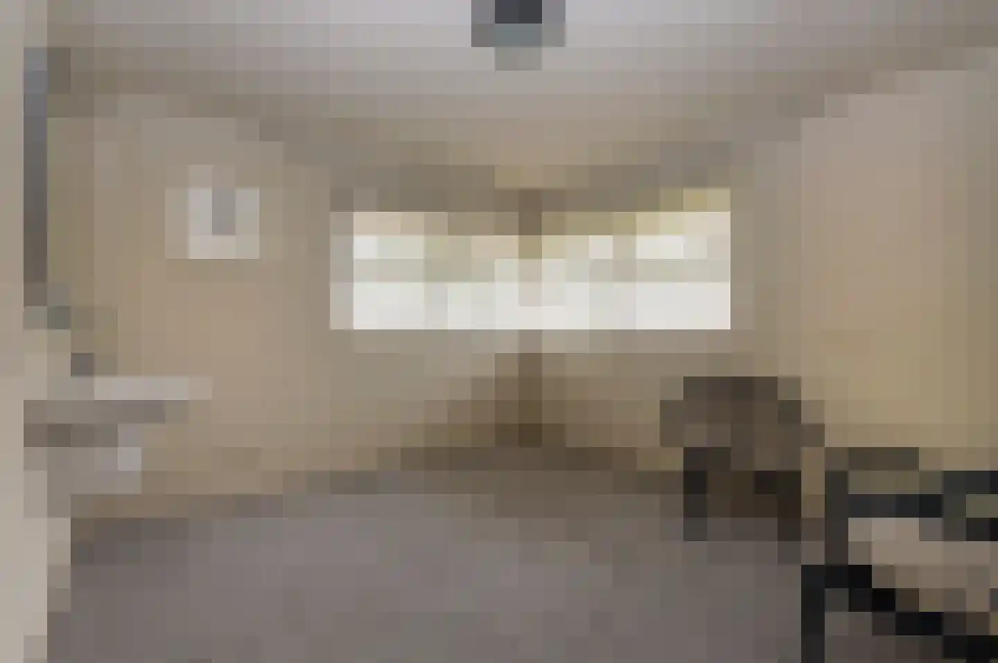 Oude Maasstraat 36 Uden thumbnail 47