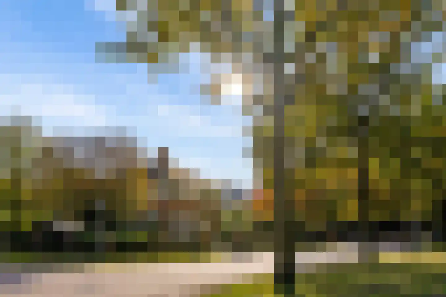 Oude Maasstraat 36 Uden thumbnail 5