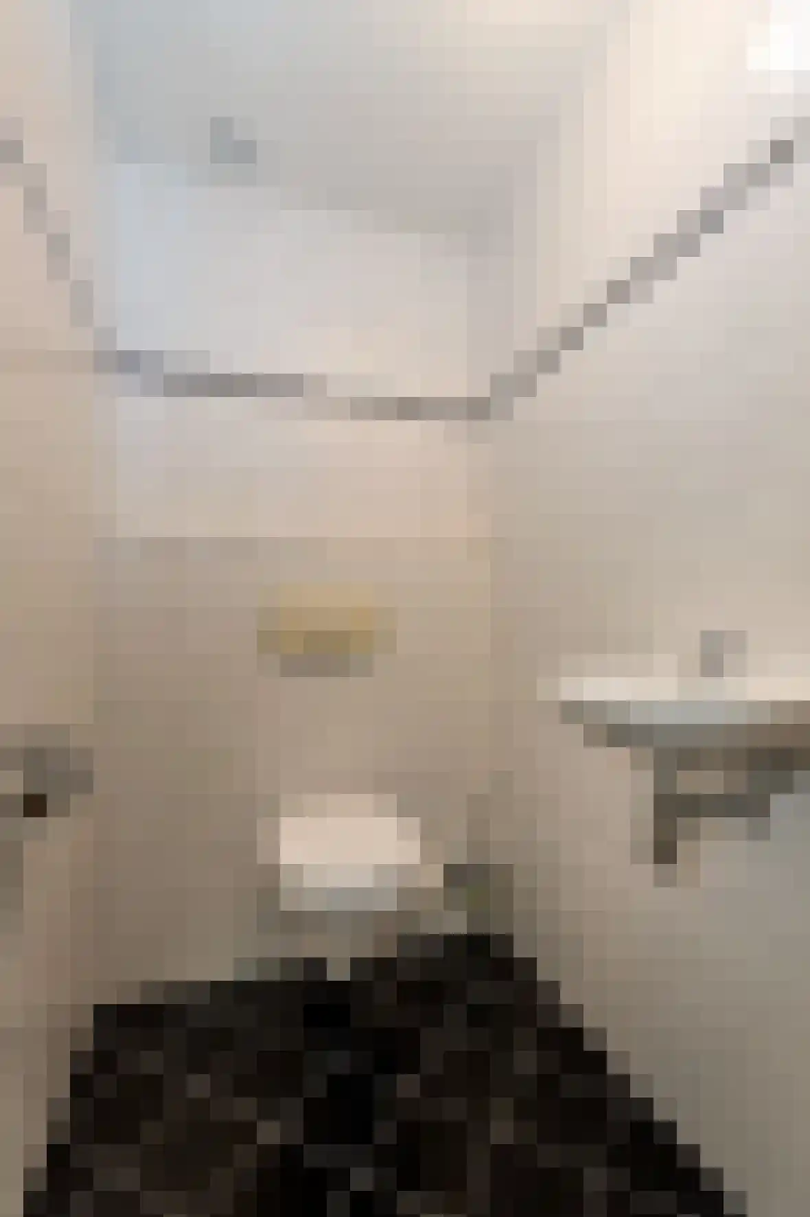 Oude Maasstraat 36 Uden thumbnail 51