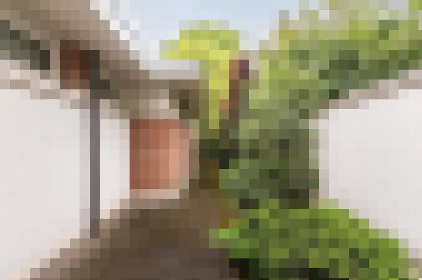 Oude Maasstraat 36 Uden thumbnail 55