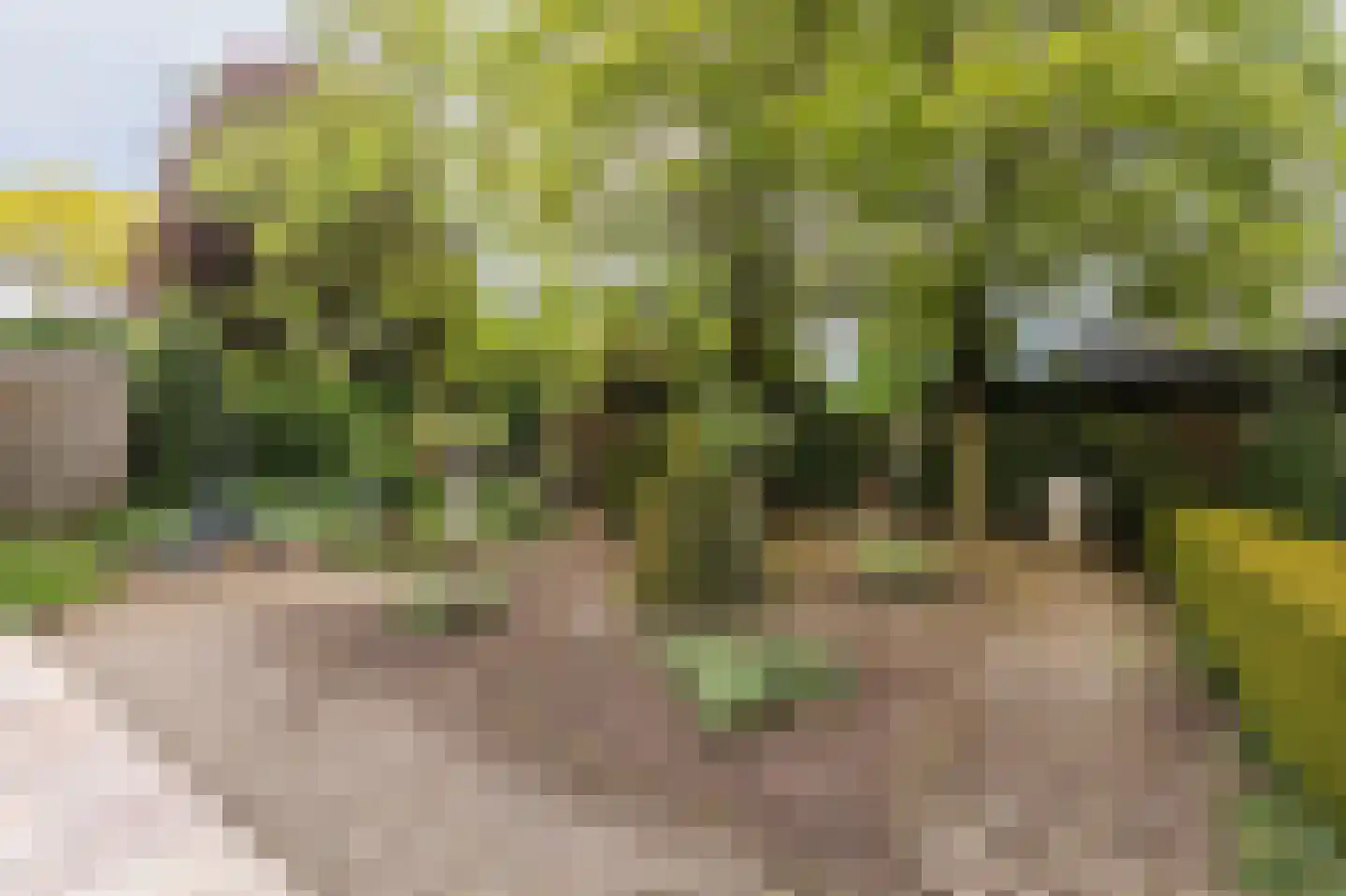 Oude Maasstraat 36 Uden thumbnail 56