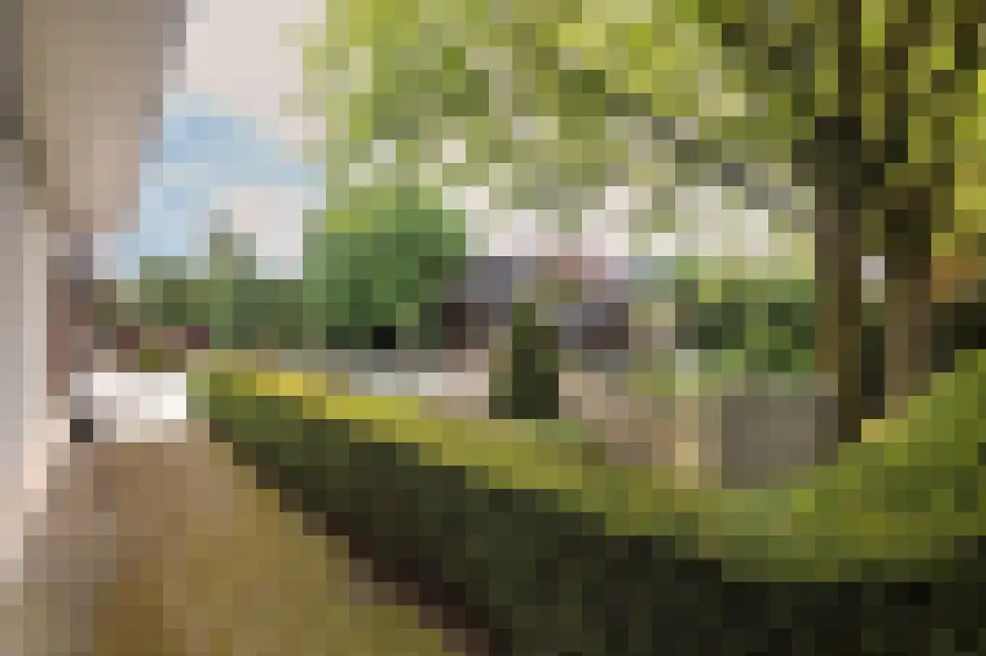 Oude Maasstraat 36 Uden thumbnail 57