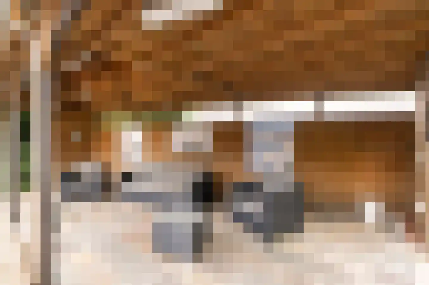 Oude Maasstraat 36 Uden thumbnail 59