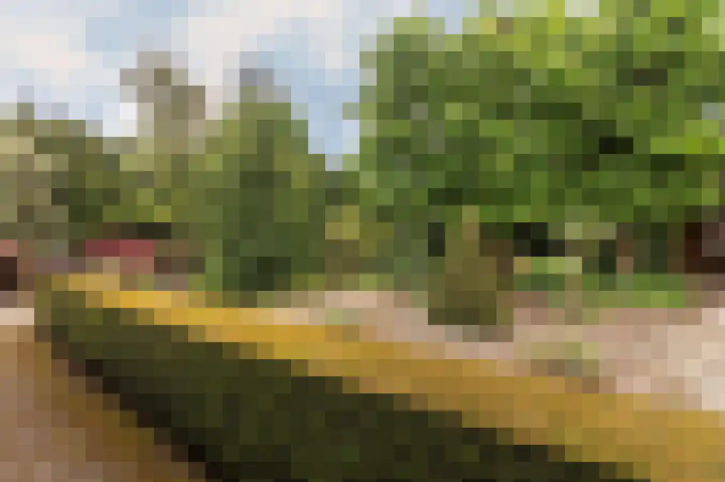 Oude Maasstraat 36 Uden thumbnail 61