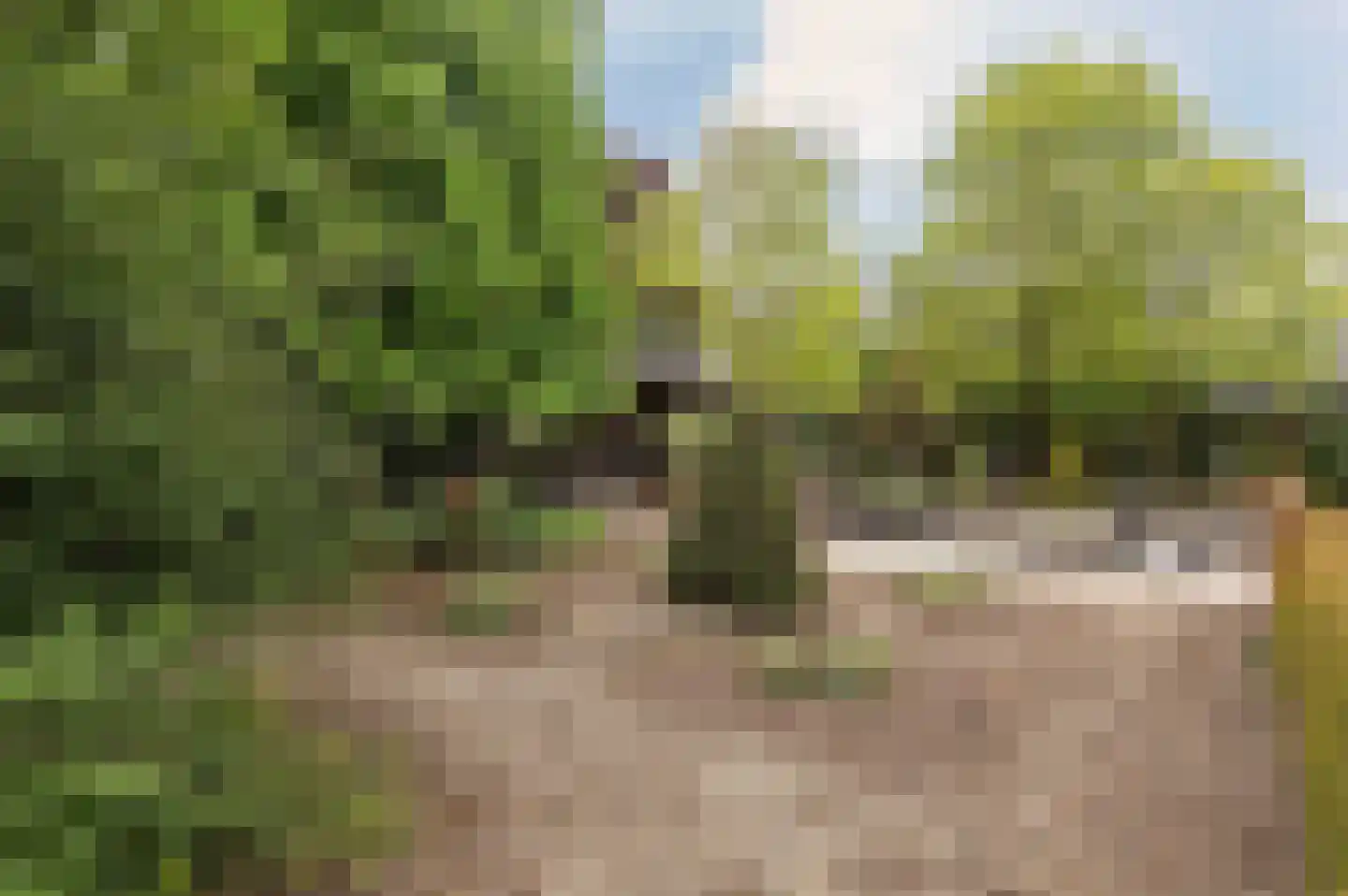 Oude Maasstraat 36 Uden thumbnail 62