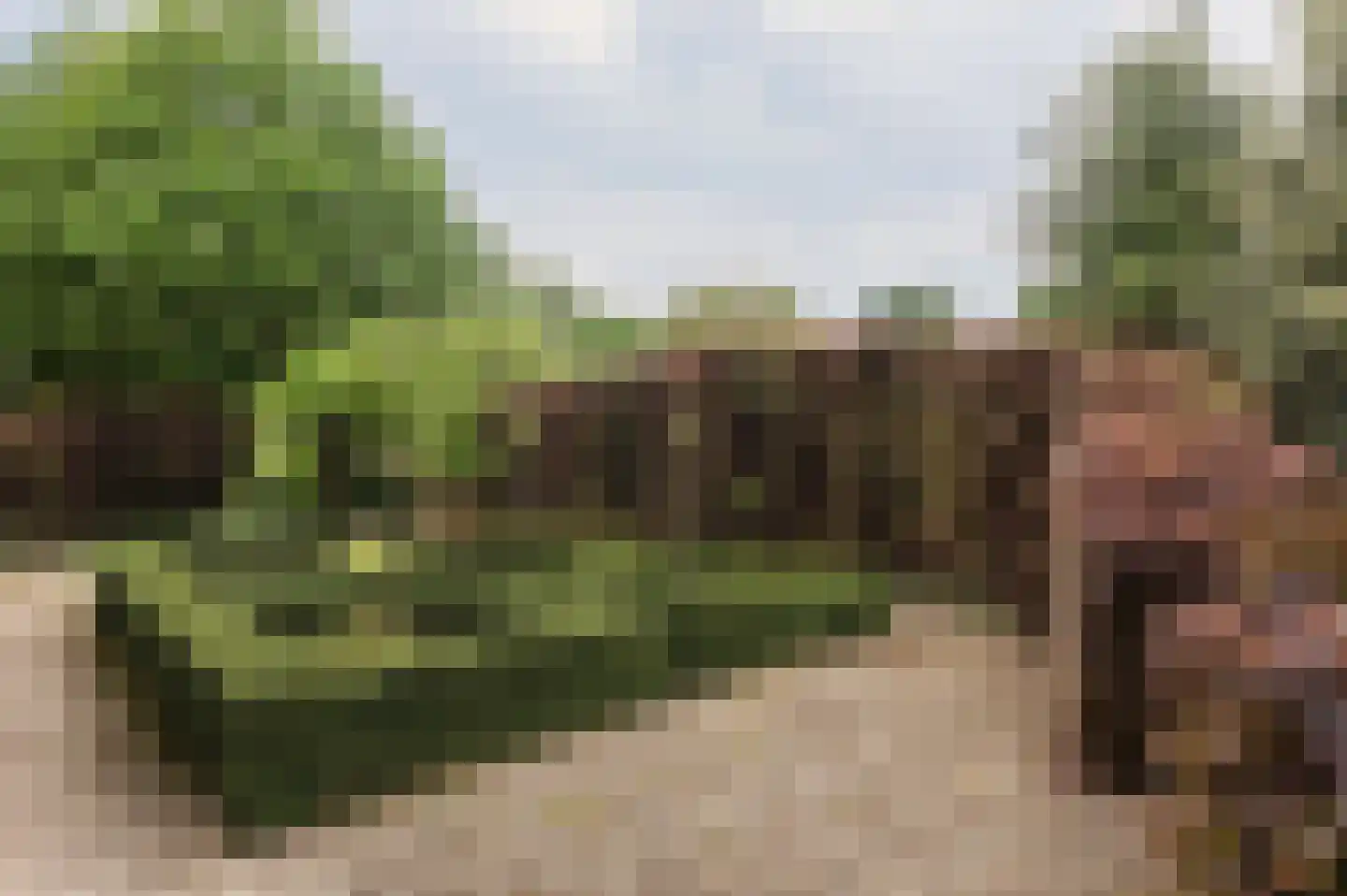 Oude Maasstraat 36 Uden thumbnail 64