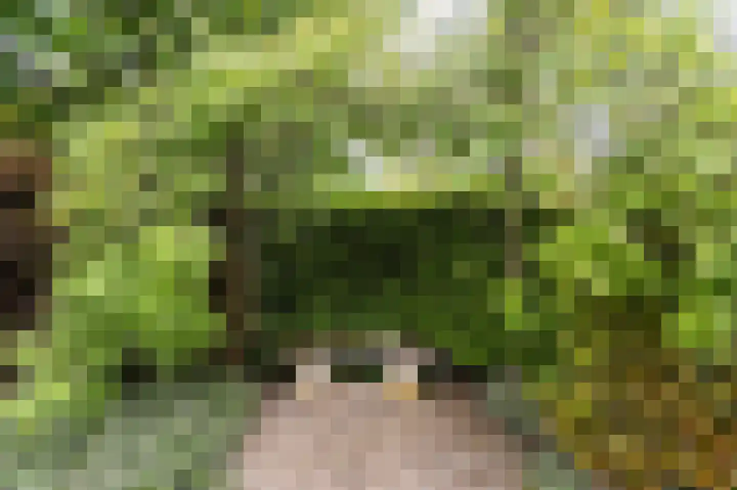Oude Maasstraat 36 Uden thumbnail 66