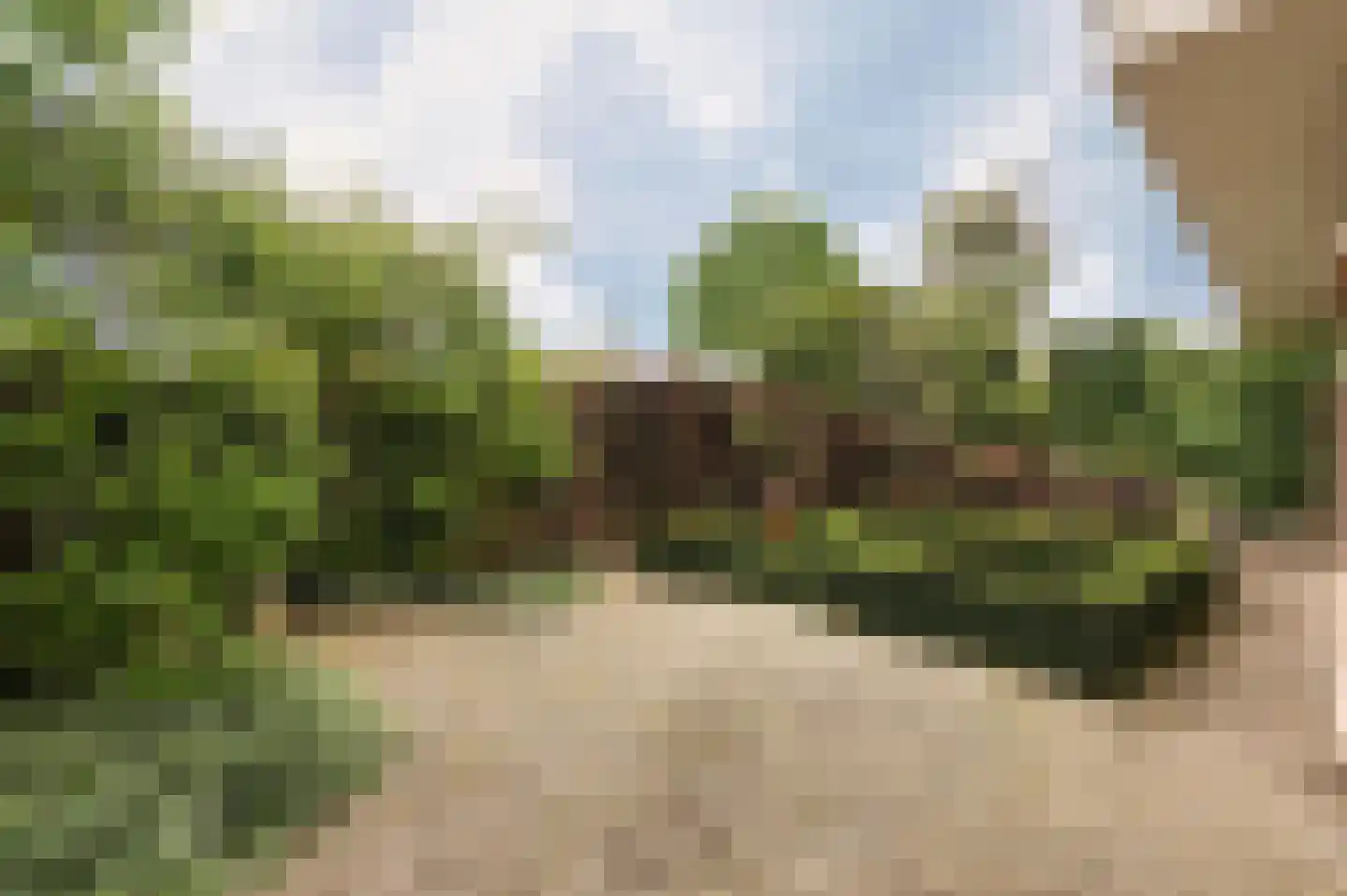 Oude Maasstraat 36 Uden thumbnail 67