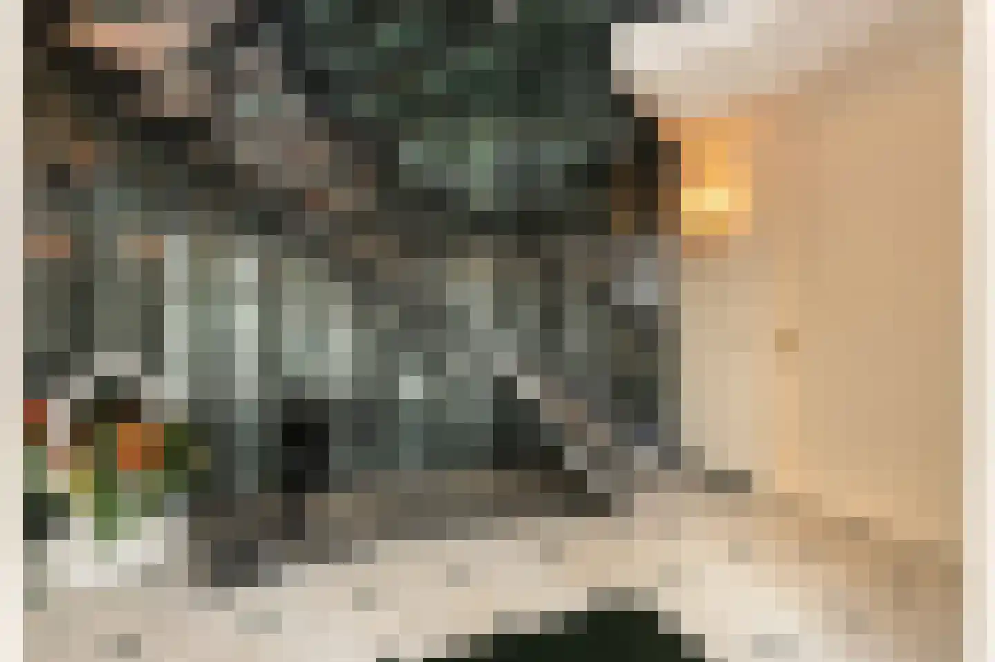 Oude Maasstraat 36 Uden thumbnail 7
