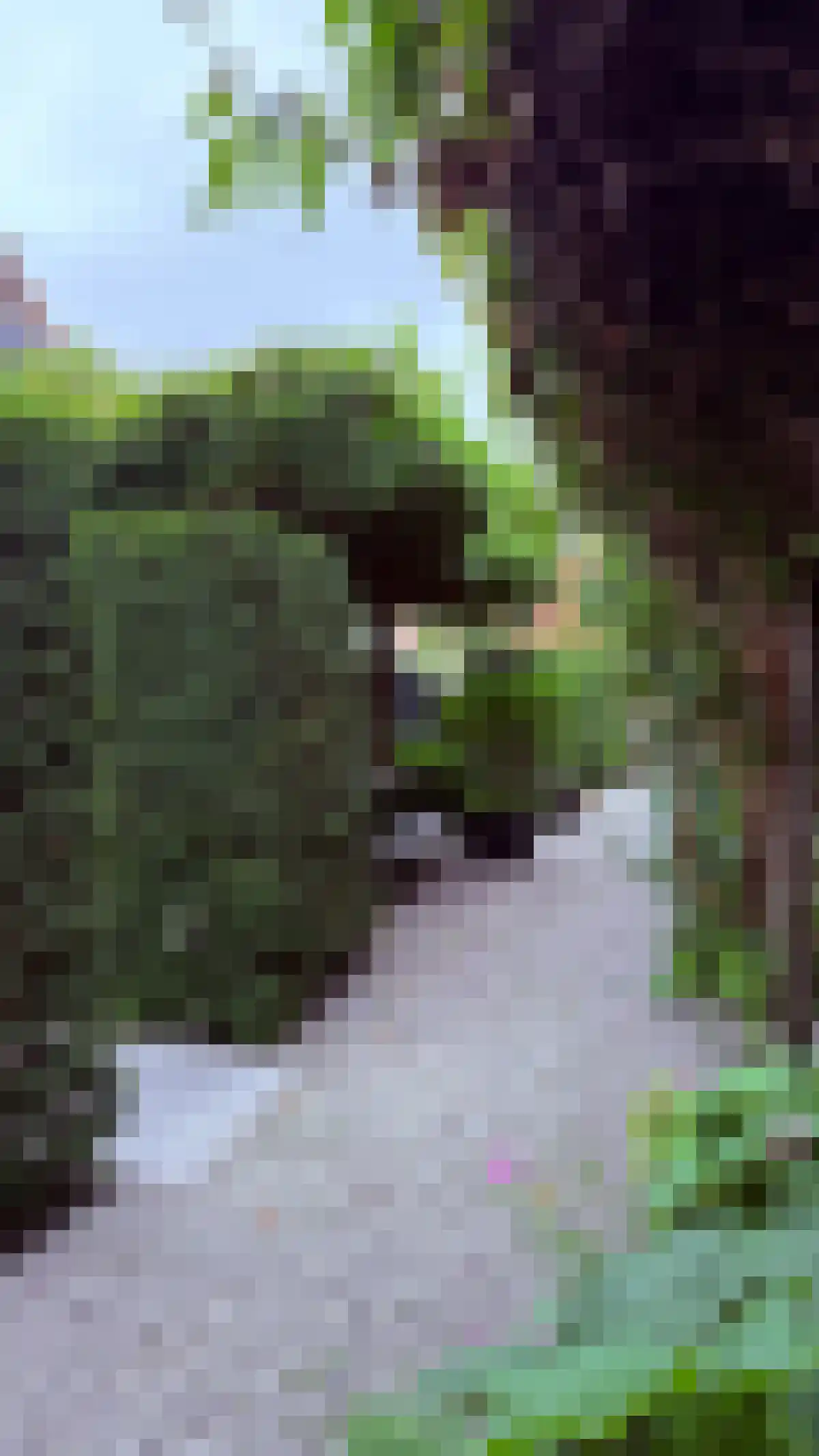 Oude Maasstraat 86 S2 Maastricht thumbnail 4