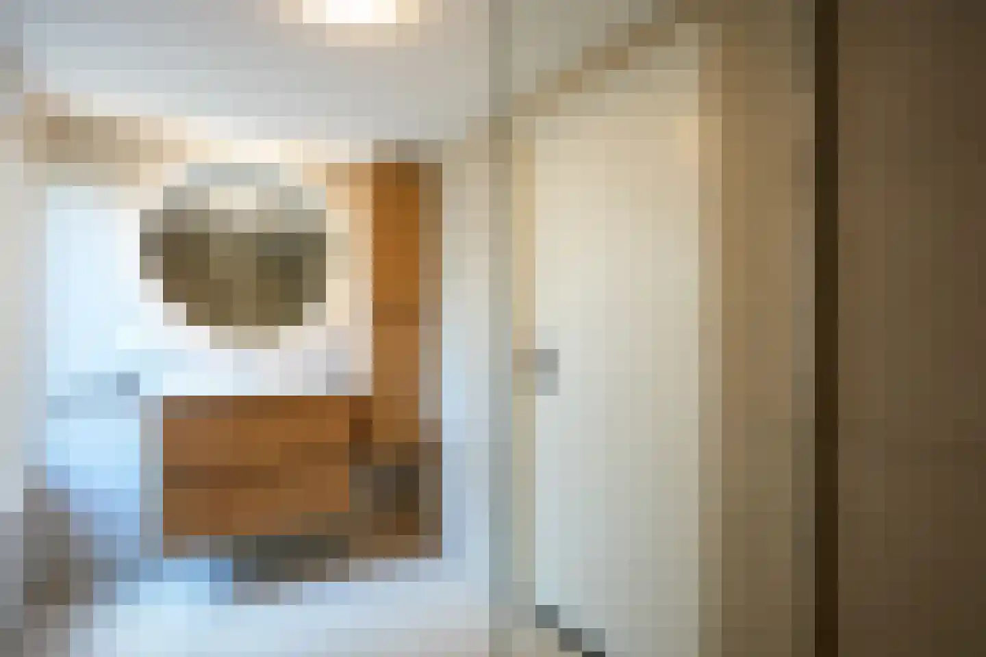 Oude Maastrichterweg 30 Geleen thumbnail 17
