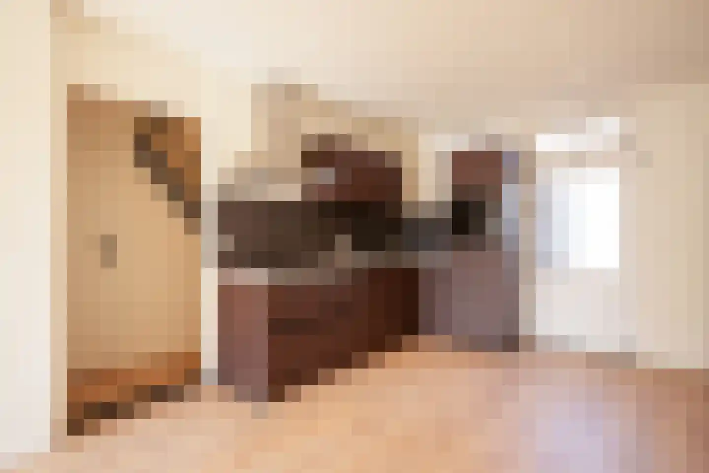 Oude Maastrichterweg 30 Geleen thumbnail 8
