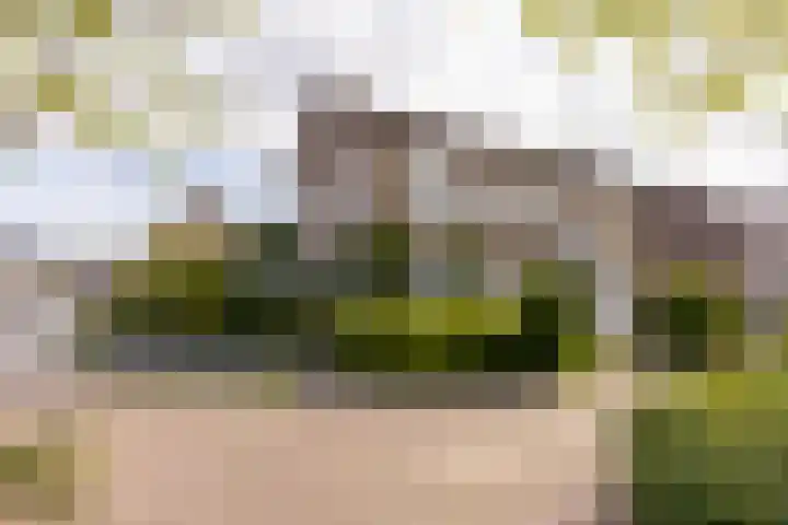 Oude Markt 9 Schinnen thumbnail 6
