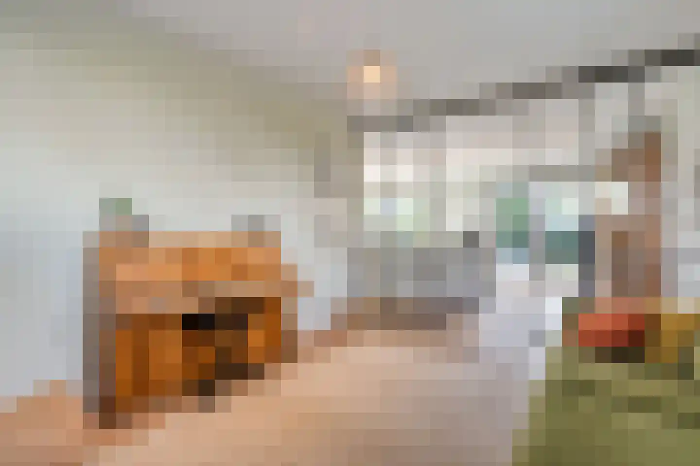 Oude Marsveld 14 Zwolle thumbnail 30