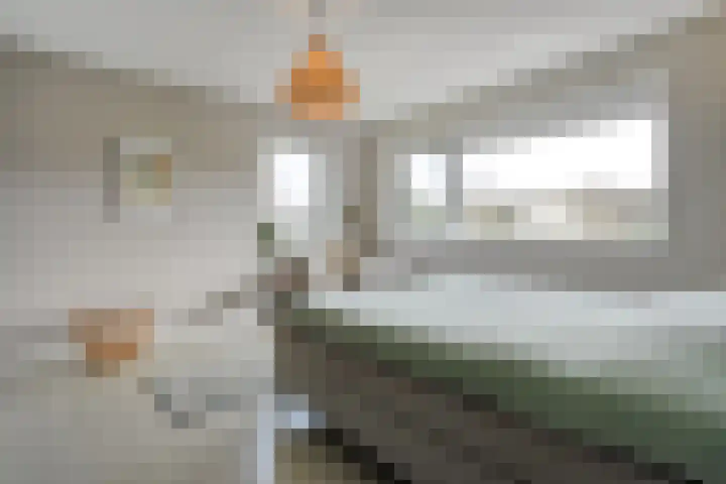 Oude Marsveld 14 Zwolle thumbnail 39