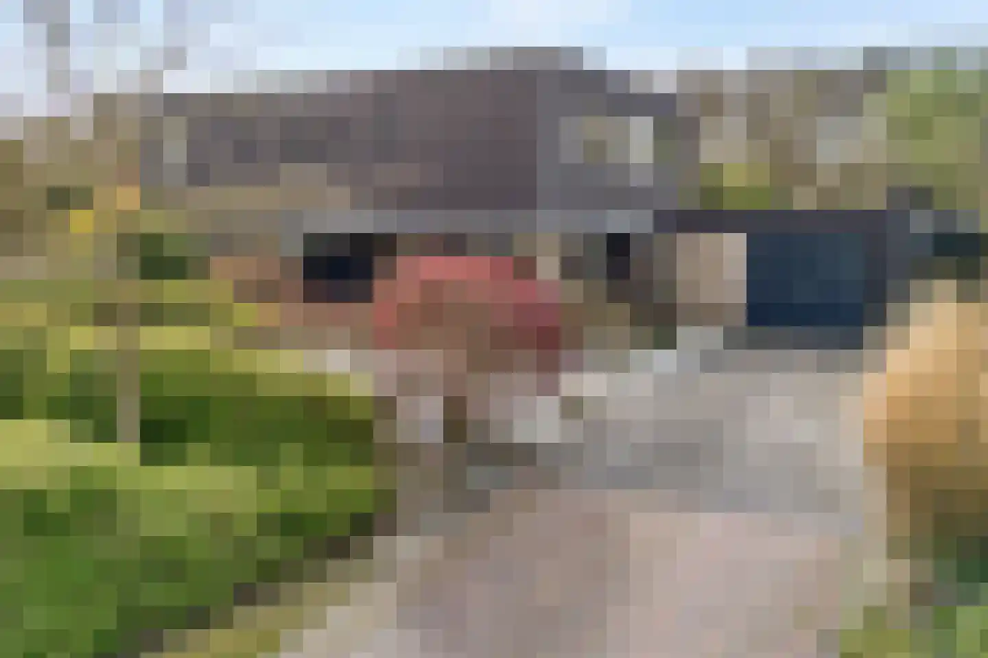 Oude Marsveld 14 Zwolle thumbnail 4
