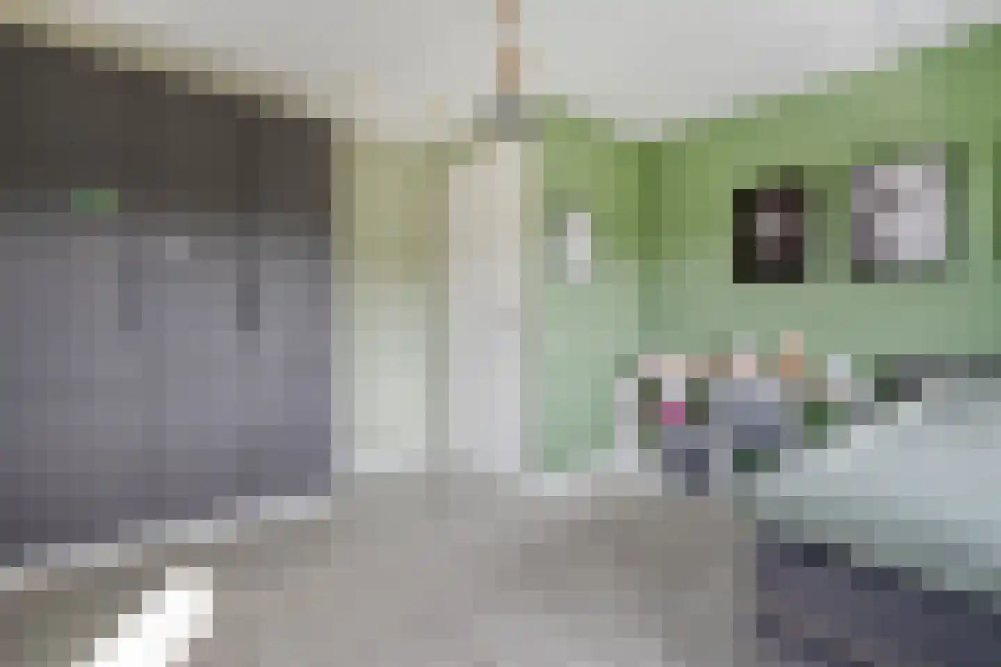 Oude Marsveld 14 Zwolle thumbnail 47