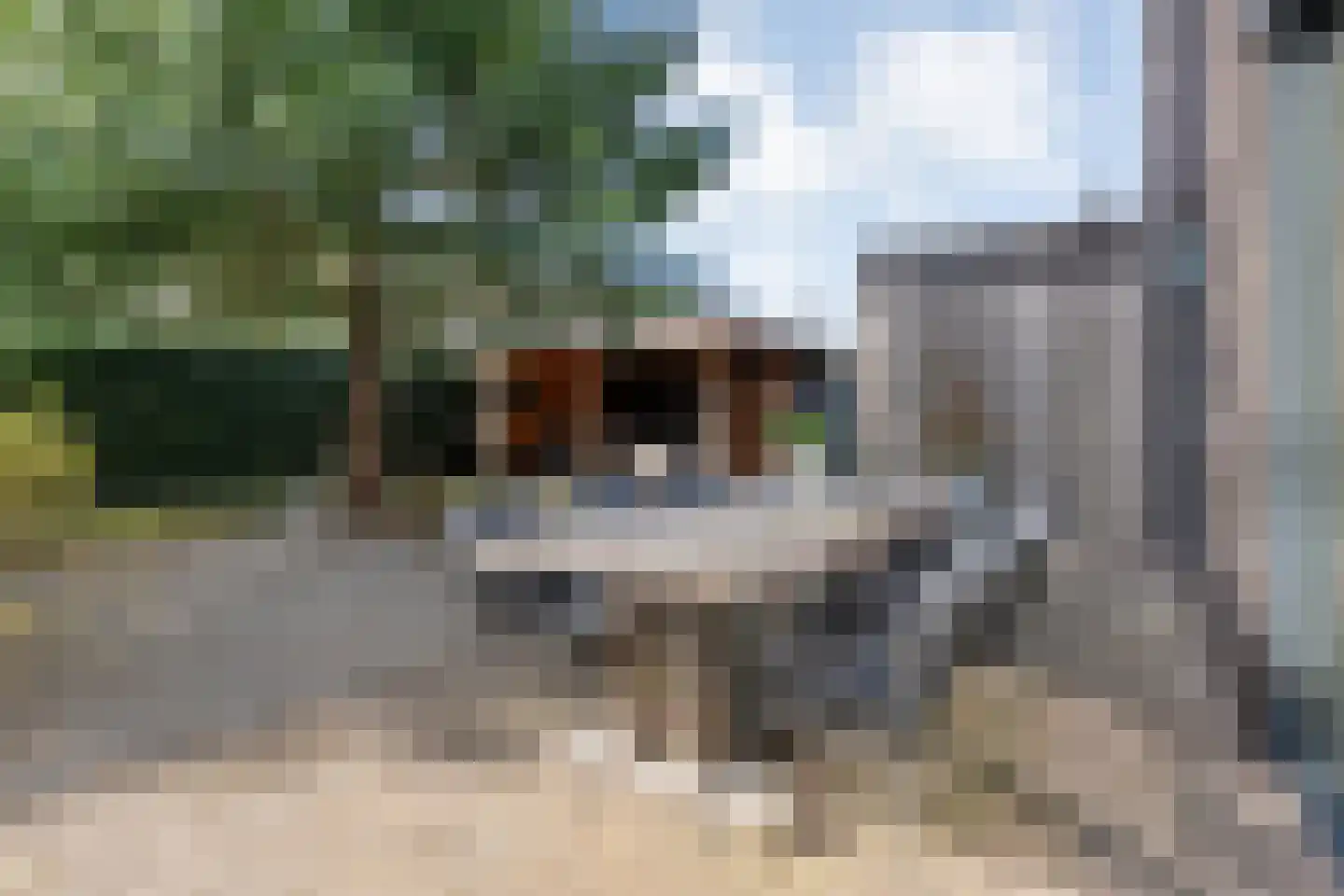 Oude Marsveld 14 Zwolle thumbnail 55