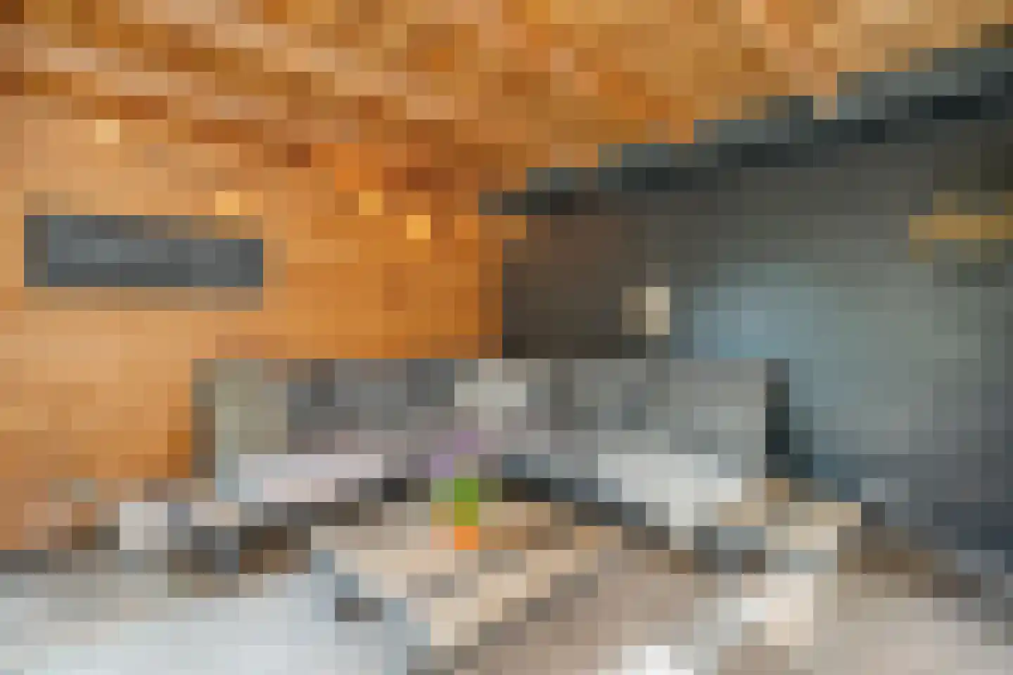 Oude Marsveld 14 Zwolle thumbnail 57