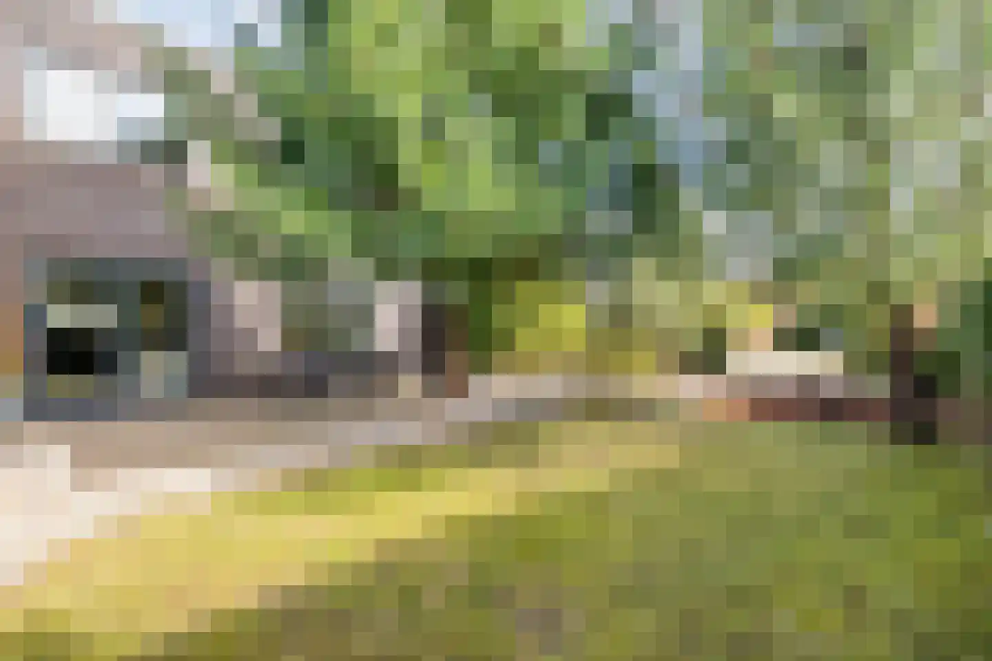 Oude Marsveld 14 Zwolle thumbnail 59