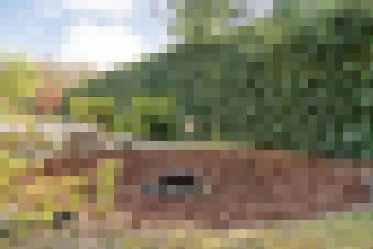 Oude Marsveld 14 Zwolle thumbnail 60