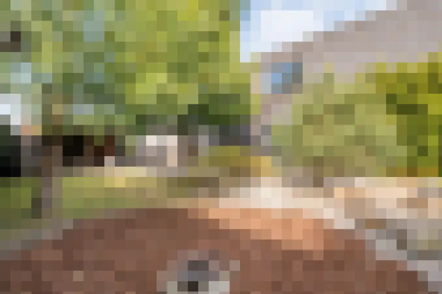 Oude Marsveld 14 Zwolle thumbnail 61