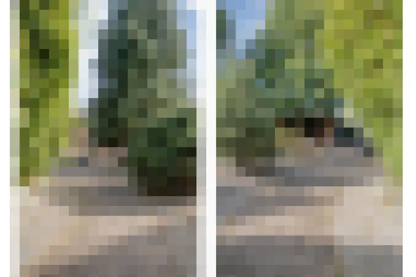 Oude Marsveld 14 Zwolle thumbnail 62
