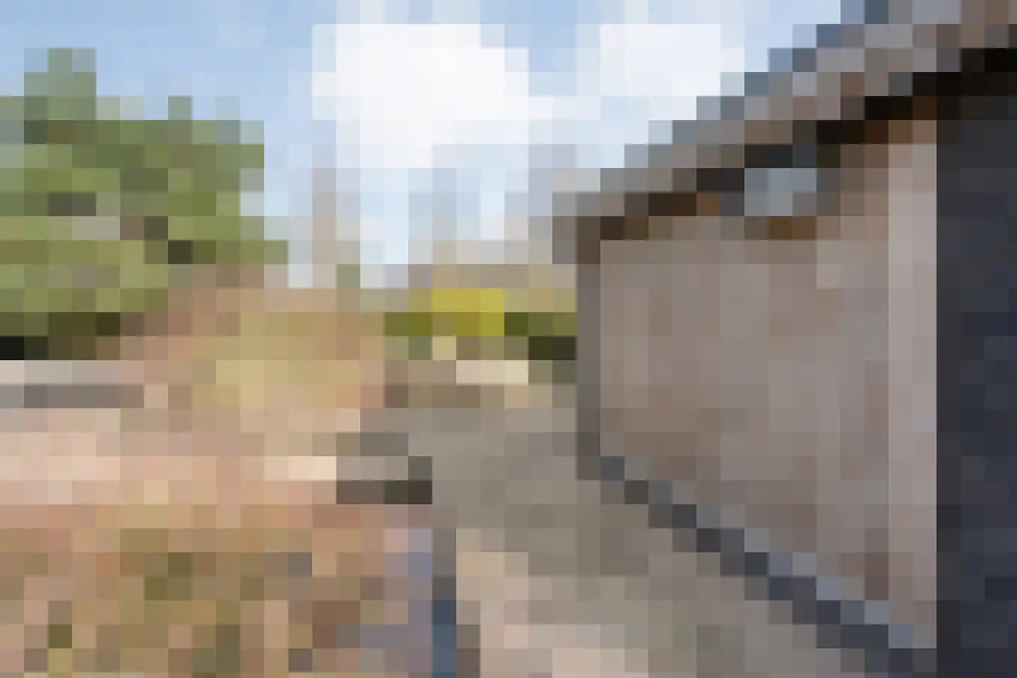 Oude Marsveld 14 Zwolle thumbnail 72