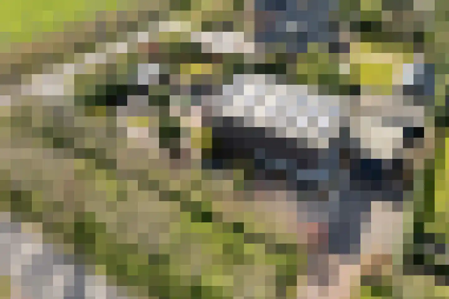 Oude Marsveld 14 Zwolle thumbnail 80