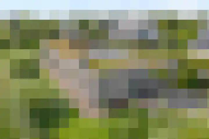 Oude Marswal 40 Zwolle thumbnail 11