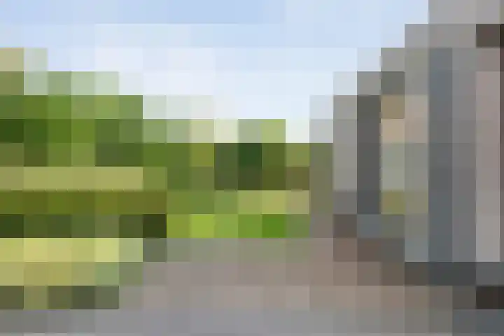 Oude Marswal 40 Zwolle thumbnail 12