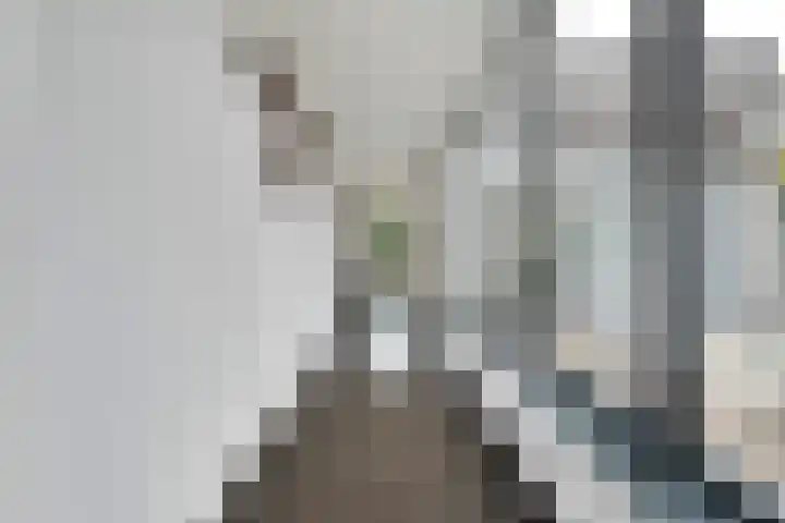 Oude Marswal 40 Zwolle thumbnail 15
