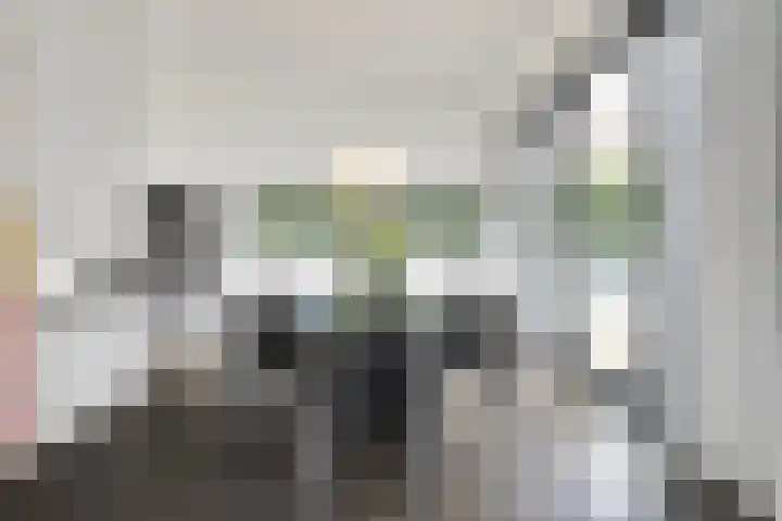 Oude Marswal 40 Zwolle thumbnail 23