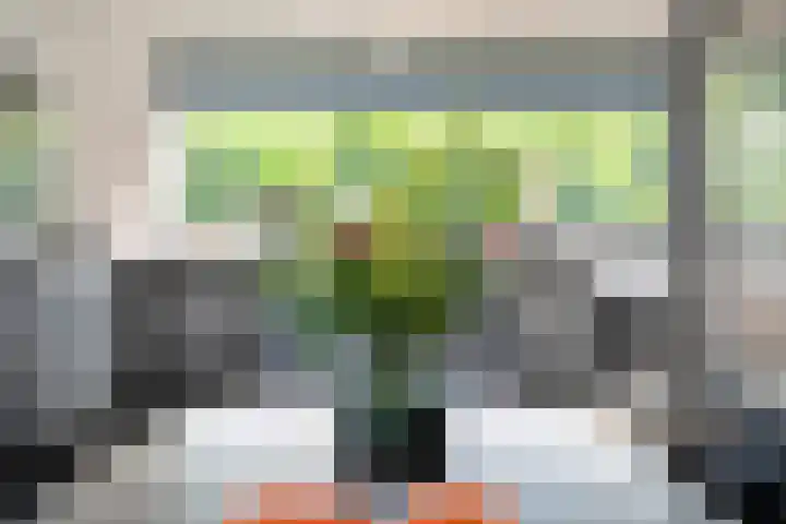 Oude Marswal 40 Zwolle thumbnail 33